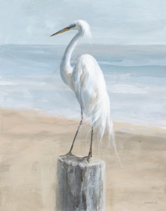 Picture of EGRET BY THE SEA NEUTRAL