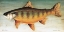 Picture of BROOK TROUT NO BORDER