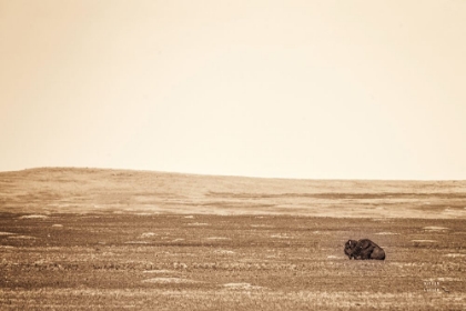 Picture of BADLANDS GUARD SEPIA