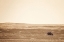 Picture of BADLANDS GUARD SEPIA