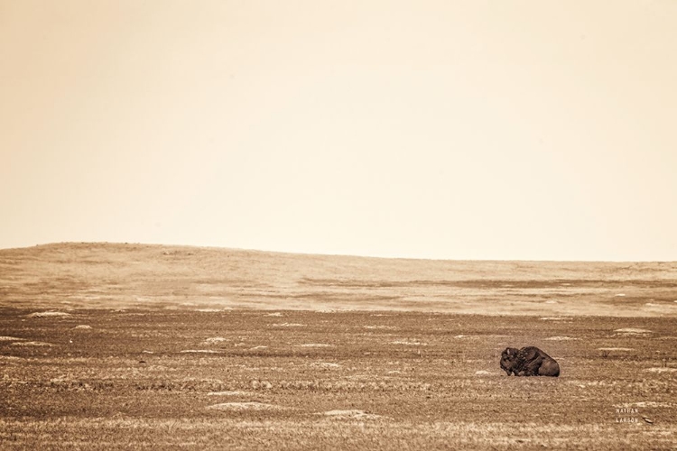 Picture of BADLANDS GUARD SEPIA