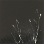 Picture of DUSTING IV