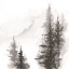 Picture of PINESCAPE I