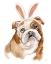 Picture of EASTER BULLDOG