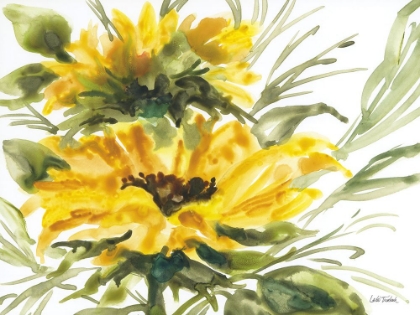 Picture of WASHY SUNFLOWER