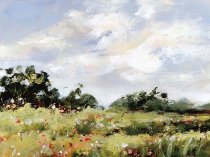 Picture of WILDFLOWER MEADOW