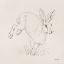 Picture of GRACEFUL RABBIT I