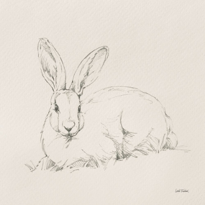 Picture of GRACEFUL RABBIT II