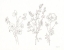 Picture of FLORAL TRIO