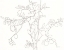 Picture of BRANCHING OUT