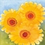 Picture of DAISY DAY I