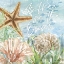 Picture of UNDER SEA LIFE VI