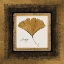 Picture of GILDED GINKGO