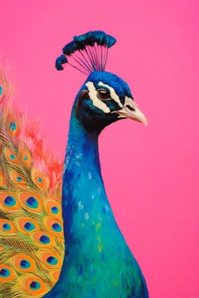 Picture of BEAUTIFUL PEACOCK