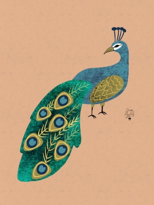 Picture of PEACOCK