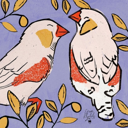 Picture of FINCH-LOVE BIRDS