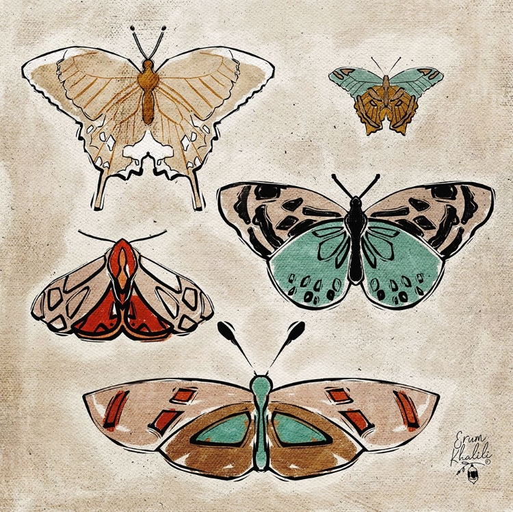Picture of VINTAGE BUTTERFLIES
