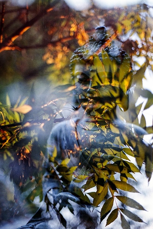 Picture of ANTIQUE BUDDHA STATUE REFLECTION I