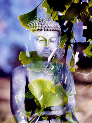 Picture of ANTIQUE BUDDHA STATUE REFLECTION II