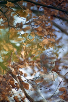 Picture of ANTIQUE BUDDHA STATUE REFLECTION III