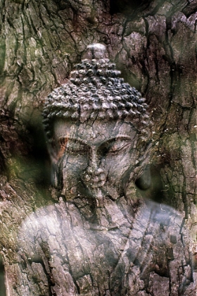 Picture of ANTIQUE BUDDHA STATUE REFLECTION IV