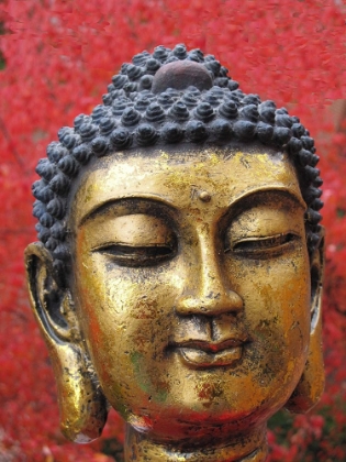Picture of ANTIQUE GOLD AND RED BUDDHA STATUE HEAD
