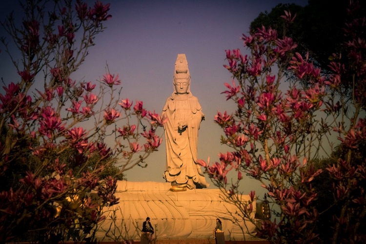 Picture of BACALHOA BUDDHA EDEN