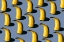 Picture of BANANAS