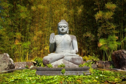 Picture of BIG STONE BUDDHA STATUE IN FOREST