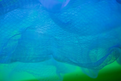 Picture of BLUE NET