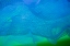Picture of BLUE NET