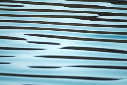 Picture of BLUE RIPPLES