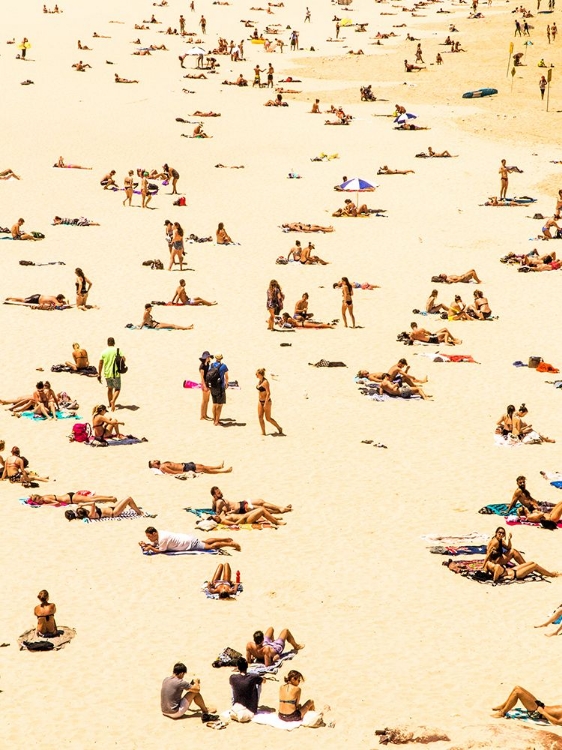 Picture of BONDI BEACH, AUSTRALIA