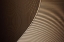 Picture of BROWN ARCHITEXTURE