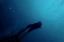 Picture of BUBBLES AND FINS