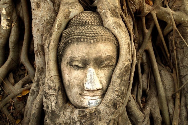 Picture of BUDDHA AT WAT MAHATHAT IN AYUTTHAYA, THAILAND