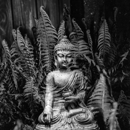 Picture of BUDDHA STATUE IN BLACK AND WHITE WITH FERNS