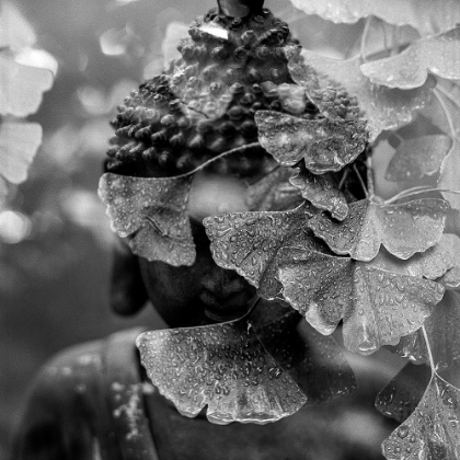 Picture of BUDDHA STATUE IN BLACK AND WHITE WITH GINKGO LEAVES