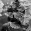Picture of BUDDHA STATUE IN BLACK AND WHITE WITH GINKGO LEAVES