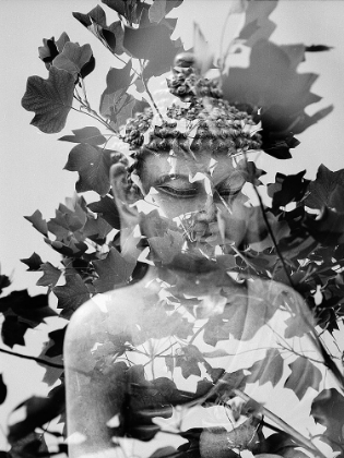 Picture of BUDDHA STATUE IN BLACK AND WHITE WITH LEAVES I