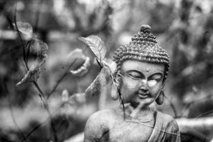 Picture of BUDDHA STATUE IN BLACK AND WHITE WITH LEAVES II