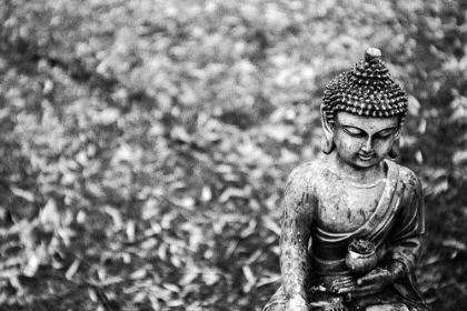 Picture of BUDDHA STATUE IN BLACK AND WHITE WITH SUCCULENT