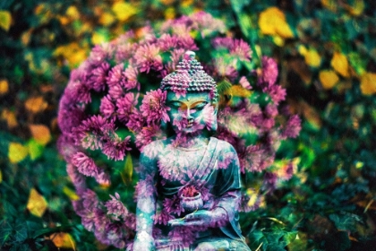 Picture of BUDDHA STATUE IN PINK FLOWERS