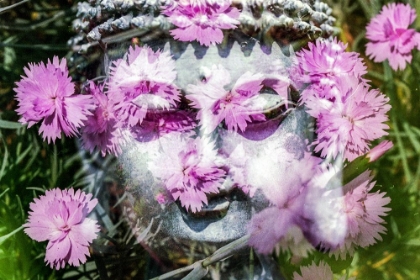 Picture of BUDDHA STATUE WITH PINK BLOSSOMS