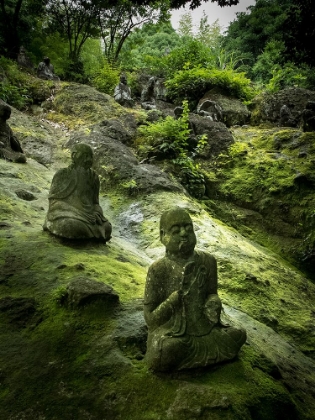 Picture of BUDDHA STATUES ON HILLSIDE