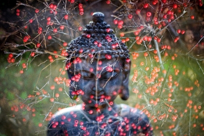 Picture of BUDDHA WITH RED BERRIES