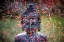 Picture of BUDDHA WITH RED BERRIES