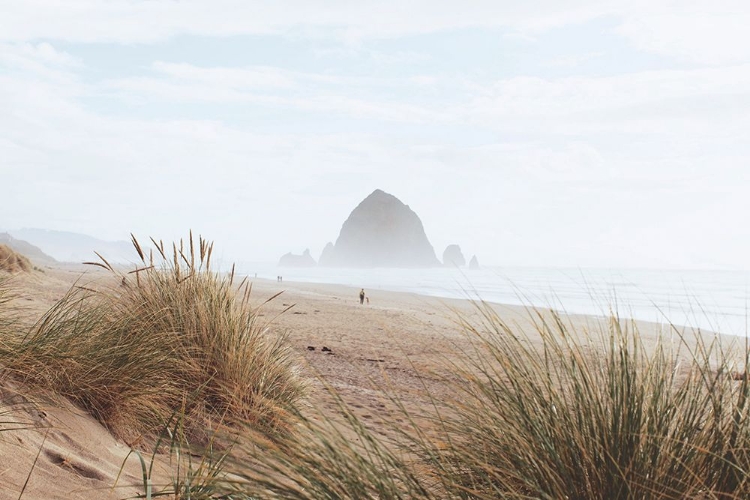 Picture of CANNON BEACH, OREGON, UNITED STATES