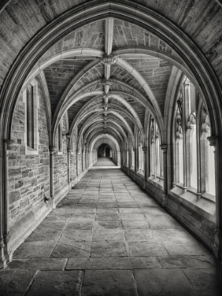 Picture of CLOISTERS