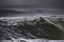 Picture of DARK WAVES